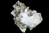 Blue, Bladed Barite Cluster - Morocco #103370-1